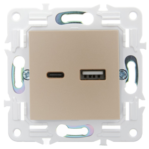 SKANDY Роз. USB A+C 3,1А SK-R14Sh шамп. IEK