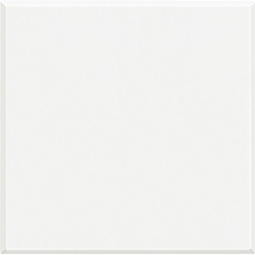 BT Axolute White Заглушка 2 мод.