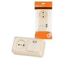 TDM Блок комбинированный выключатель 2-кл. 10А с подсветкой + розетка 2П 10А 250В БКВР IP20 сл. кость 