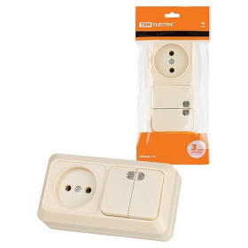 TDM Блок комбинированный выключатель 2-кл. 10А с подсветкой + розетка 2П 10А 250В БКВР IP20 сл. кость 