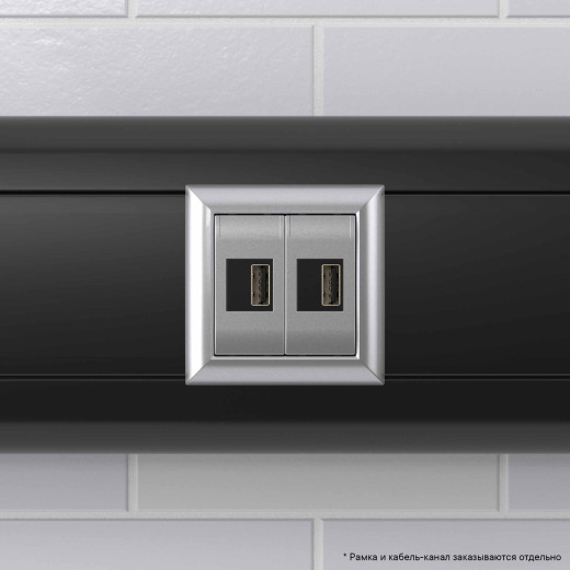 USB зарядное устройство модульное, Avanti, закаленная сталь, 2модуля, 2.1 А