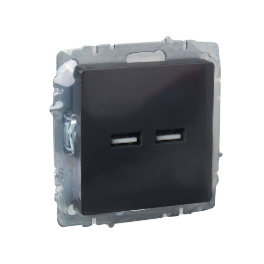 BRITE Роз. USB A+A 3,1А РЮ10-1-БрГ граф. IEK