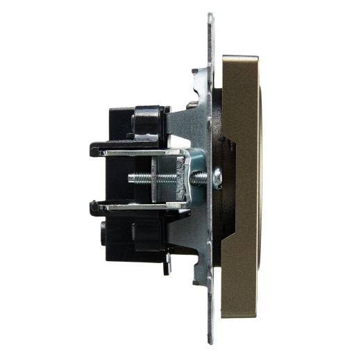 BRITE Роз. без з/к/ш 10А РС10-1-0-БрШ шамп. IEK