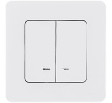 Legrand/Daccord INSPIRIA Белый Выключатель двухклавишный с подсветкой/индикацией 10 AX - 250 В.