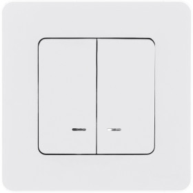 Legrand/Daccord INSPIRIA Белый Выключатель двухклавишный с подсветкой/индикацией 10 AX - 250 В.