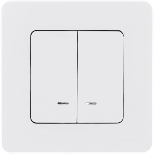 Выключатель двухклавишный с подсветкой/индикацией - Legrand/Daccord Inspiria - 10АХ 250В безвинтовые зажимы - белый