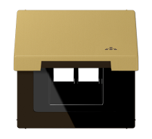 JUNG Накладка и крышка для двойных UAE розеток с символом 