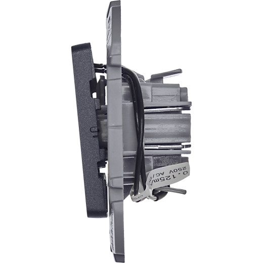 Выключатель одноклавишный с подсветкой/индикацией - Legrand/Daccord Inspiria - 10АХ 250В безвинтовые зажимы - антрацит