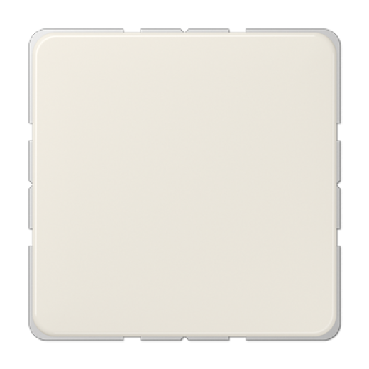 Крышка без отверстий, фиксация защёлкиванием, для произвольных вырезов (либо использование в качестве заглушки), возможно IP44, термопласт, слоновая кость, CD500