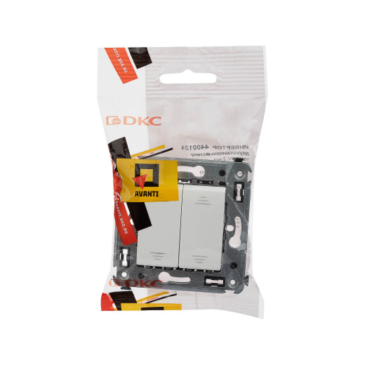 Инвертор двухклавишный в стену, Avanti, белое облако