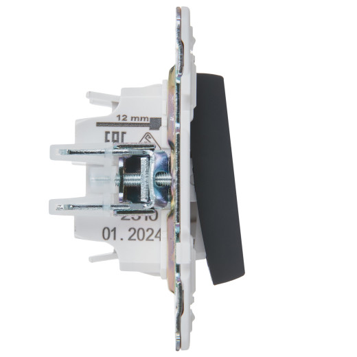 SKANDY Выключ. 1-кл. перекр. 10А SK-V03G граф. IEK