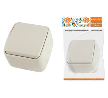 TDM Выключатель 1-кл. открытой установки IP20 10А, сл. кость 