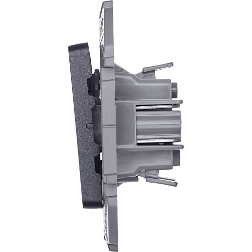 Выключатель двухклавишный - Legrand/Daccord Inspiria - 10АХ 250В безвинтовые зажимы - антрацит