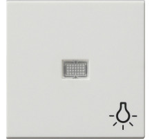 Gira Клав с больш окном пикт-мой Свет