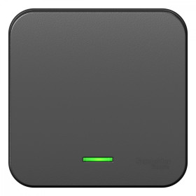 Systeme Electric Blanca наруж Антрацит Выключатель 1-клавишный с подсветкой, 10А, 250B