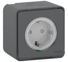 Schneider Electric Mureva Styl наруж Антрацит Розетка с/з и шторками, винт. клеммы, IP55
