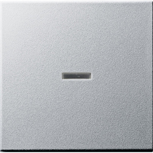 Накладка выключателя одинарная