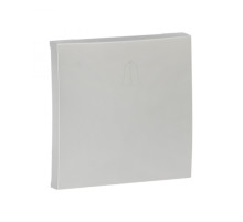 EKF PROxima Валенсия лицевая панель выключателя проходного 1-кл. 10А сталь.