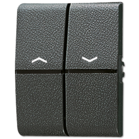 JUNG Клавиша для двойных кнопок BCU