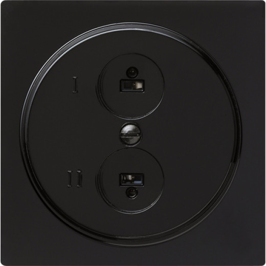 Розетка для стереофонического громкоговорителя