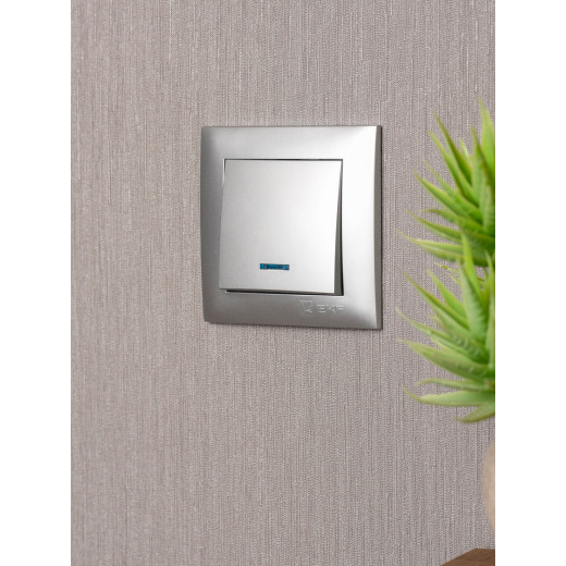 Валенсия лицевая панель выключателя 1-кл. с индикатором 10А сталь EKF PROxima