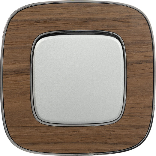 Valena ALLURE.Выключатель 10АХ 250В с лицевой панелью.Безвинтовые зажимы.Алюминий