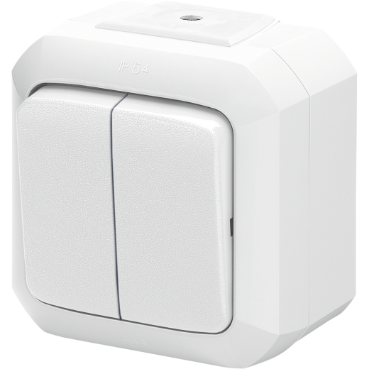 Переключатель двухклавишный ABB Variant+ IP54 белый