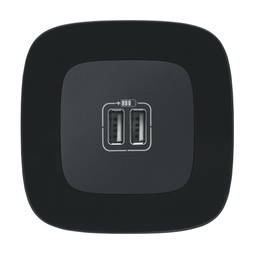 VLN-a АНТ Роз 2хUSB зарядка