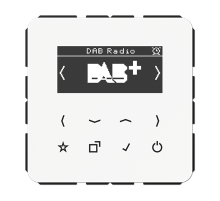 JUNG Цифровое радио DAB +, белый