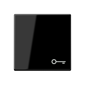 JUNG Клавиша с cимволом двери, чёрный