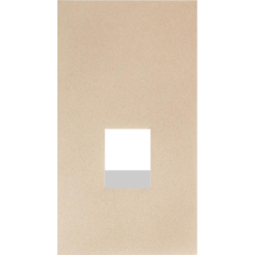 Интернет RG-45/RG11 накладка 2 модульная цвет-шампань матовый MEITON ACH07M2