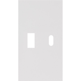 Usb+type c наклодкой 2--ух модульная цвет-белый матовый MEITON AW12C