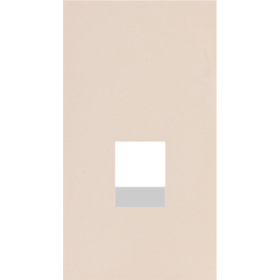 Интернет RG-45/RG11 накладка 2 модульная цвет-песочный матовый MEITON AM07M2