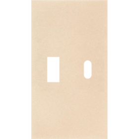 USB+type с накладкой 2-ух модульная цвет-шампань матовый MEITON ACH12C