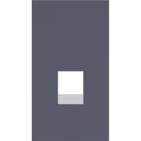 Интернет RG-45/RG11 накладка 2 модульная цвет-Грифель матовый MEITON AL07M2