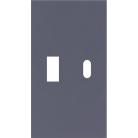 USB+type с накладкой 2-ух модульная цвет-Грифель матовый MEITON AL12C