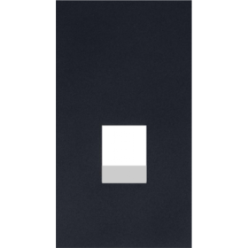 Интернет RG-45/RG11 накладка 2 модульная цвет-черный матовый MEITON AG07M2