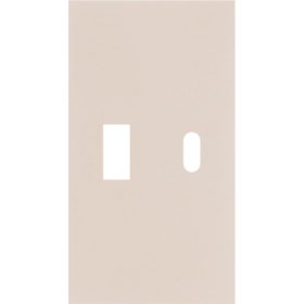 Usb+type c наклодкой 2--ух модульная цвет-песочный матовый MEITON AM12C