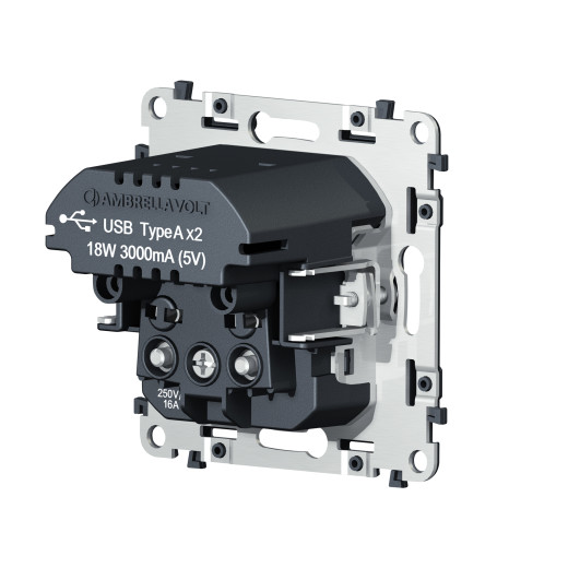 VM165 Механизм электрической розетки 2USB С+C 20W (быстрая зарядка) с/з на винтовых зажимах 16A-250V QUANT