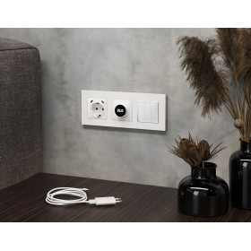 MA110510 Комплект механизма электрической розетки 2USB С+C 20W с/з на винтовых зажимах 16A-250V ALFA Белый глянец QUANT (AP1105, VM165)