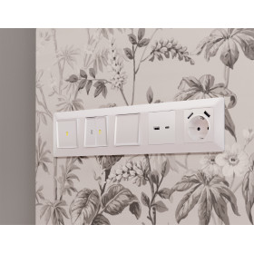 MA209010 Комплект механизма электрической розетки ALFA Жемчуг 2USB A+A 18W (быстрая зарядка) с/з QUANT (AP2090, VM155)