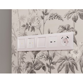 MA211010 Комплект механизма розетки ALFA Жемчуг 2USB A+C 20W (быстрая зарядка) QUANT (AP2110, VM177)