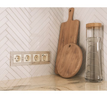 MA310010 Комплект механизма электрической розетки ALFA Бежевый глянец 2USB A+C 20W (быстрая зарядка) с/з QUANT (AP3100, VM160)