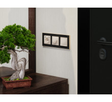 MA310510 Комплект механизма электрической розетки 2USB С+C 20W с/з на винтовых зажимах 16A-250V ALFA Бежевый глянец QUANT (AP3105, VM165)