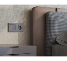 MA510510 Комплект механизма электрической розетки 2USB С+C 20W с/з на винтовых зажимах 16A-250V ALFA Сталь матовый QUANT (AP5105, VM165)