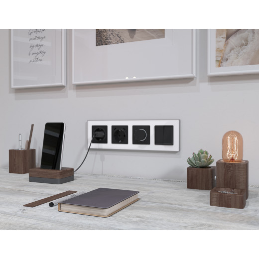 MA810510 Комплект механизма электрической розетки 2USB С+C 20W с/з на винтовых зажимах 16A-250V ALFA Черный матовый QUANT (AP8105, VM165)