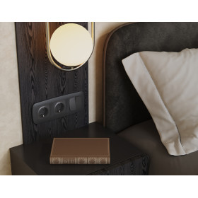 MO903030 Комплект механизм 2-клавишного перекрестного выключателя 10A-250V OMEGA Графит Мягкое касание QUANT (OP9030, VM125)