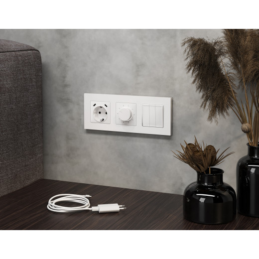 MA130510 Комплект механизма электрической розетки 2USB С+C 20W с/з на винтовых зажимах 16A-250V ALFA Белый матовый QUANT (AP1305, VM165)