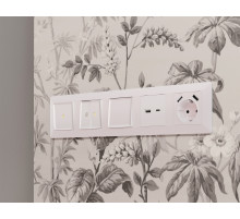 AP2110 Лицевая панель ALFA (Жемчуг) для розетки 2USB тип A+C QUANT