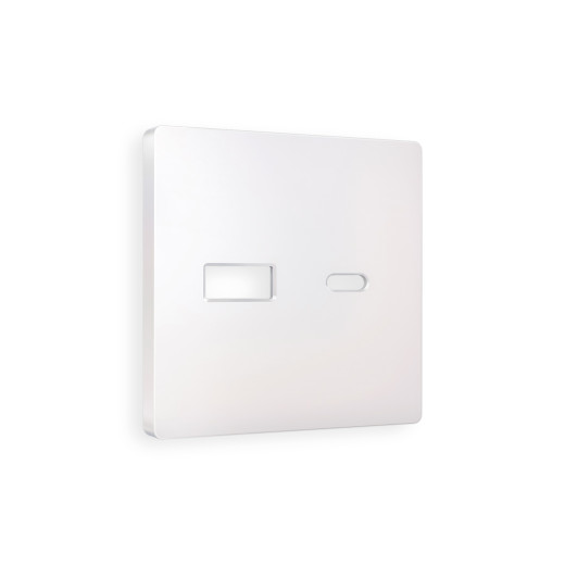 AP2110 Лицевая панель ALFA (Жемчуг) для розетки 2USB тип A+C QUANT